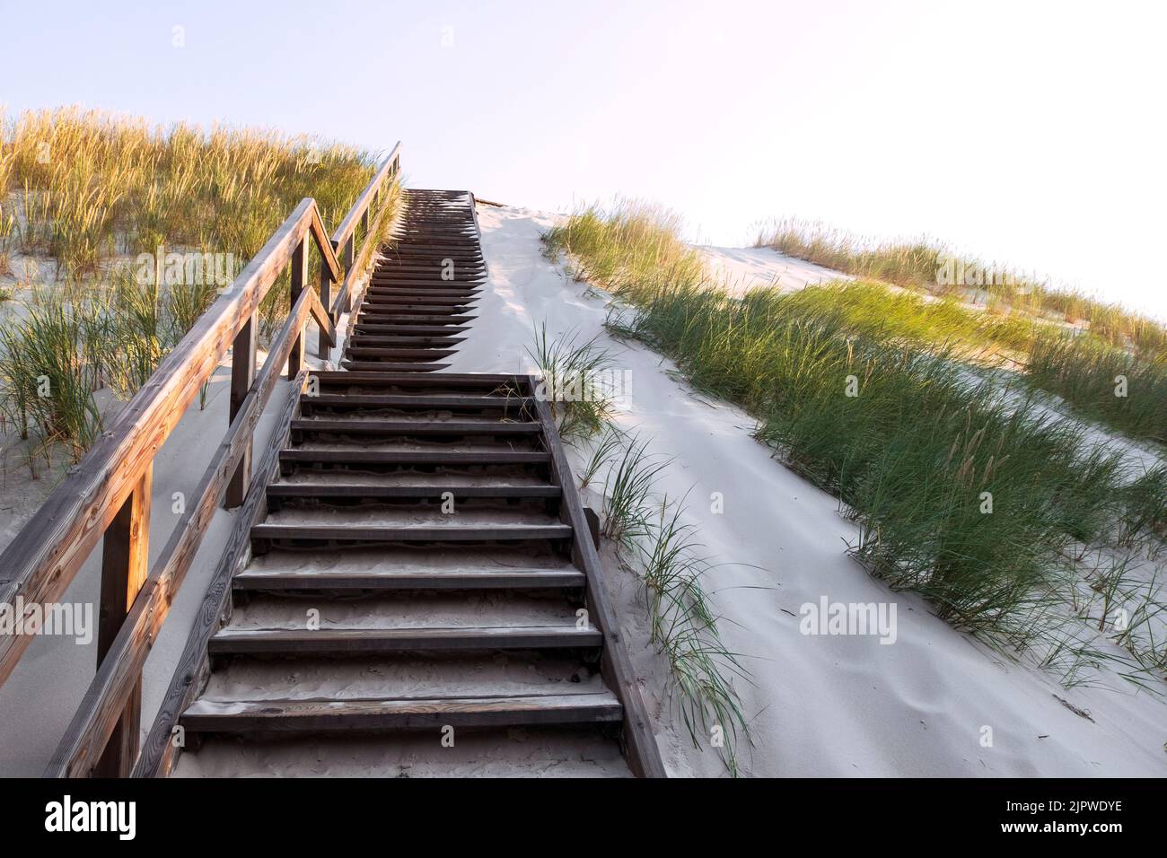 Wooden stairs on sand dune covered with grass, way to the entrance of the beach. Coastal landscape by morning light. Baltic sea. Stock Photo
