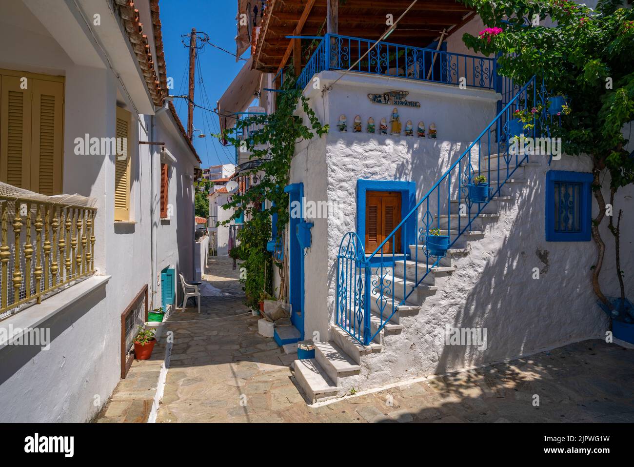View of whitewashed house in Skiathos Town, Skiathos Island, Sporades Islands, Greek Islands, Greece, Europe Stock Photo