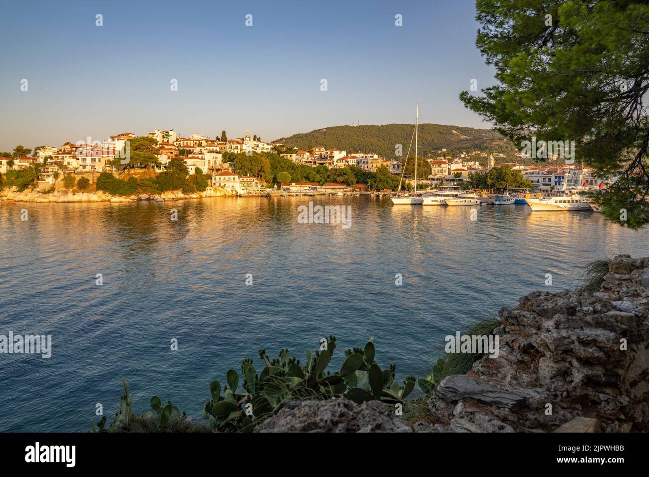 View of Belvedere Skiathos Old Port at sunrise in Skiathos Town, Skiathos Island, Sporades Islands, Greek Islands, Greece, Europe Stock Photo