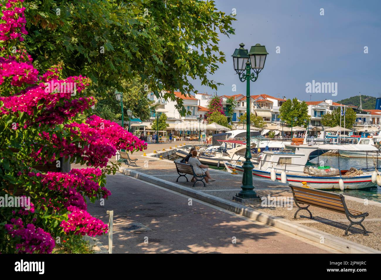 View of boats in Old Port, Skiathos Town, Skiathos Island, Sporades Islands, Greek Islands, Greece, Europe Stock Photo