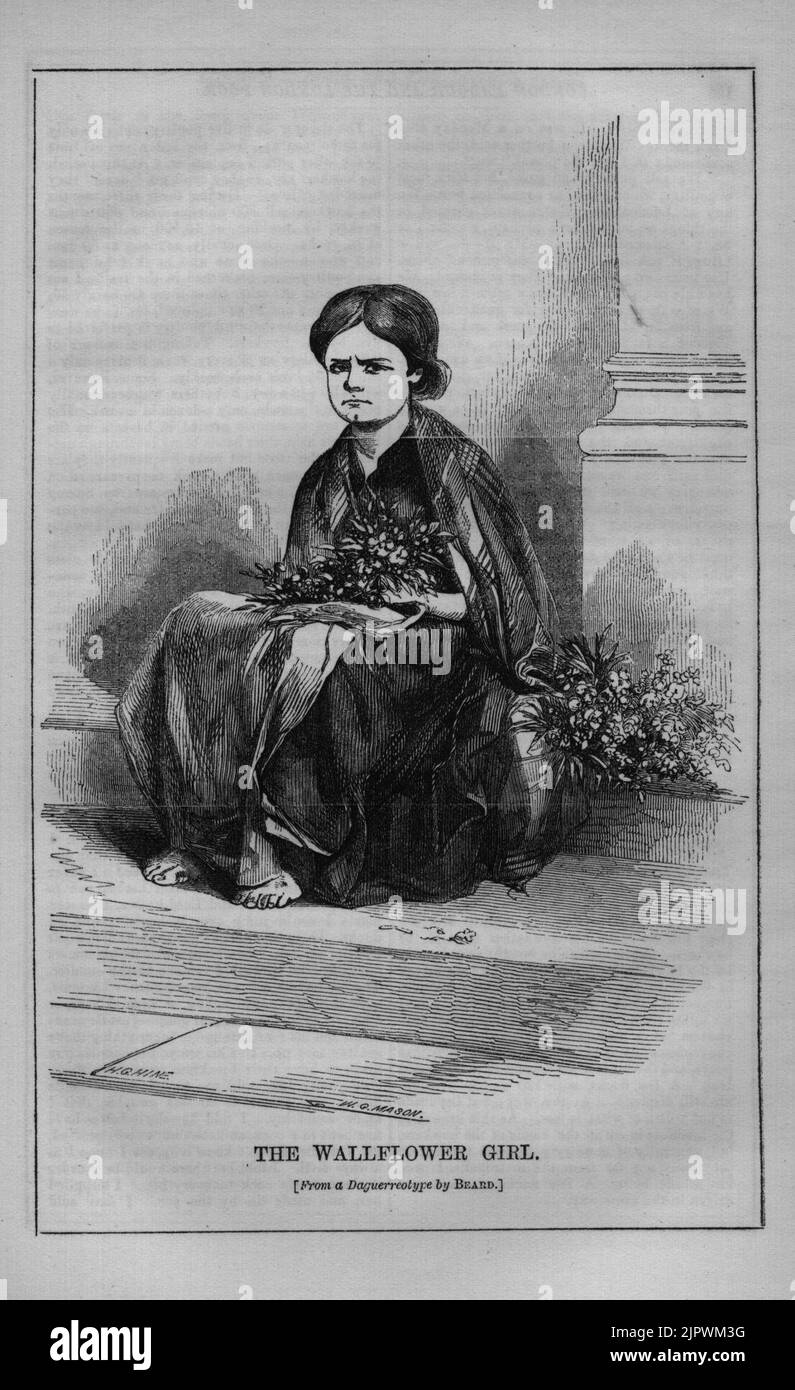 The Wallflower Girl Stock Photo Alamy