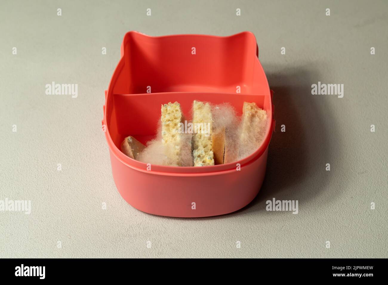 White mold on slices of bread and slices of sausage in pink lunch bokeh