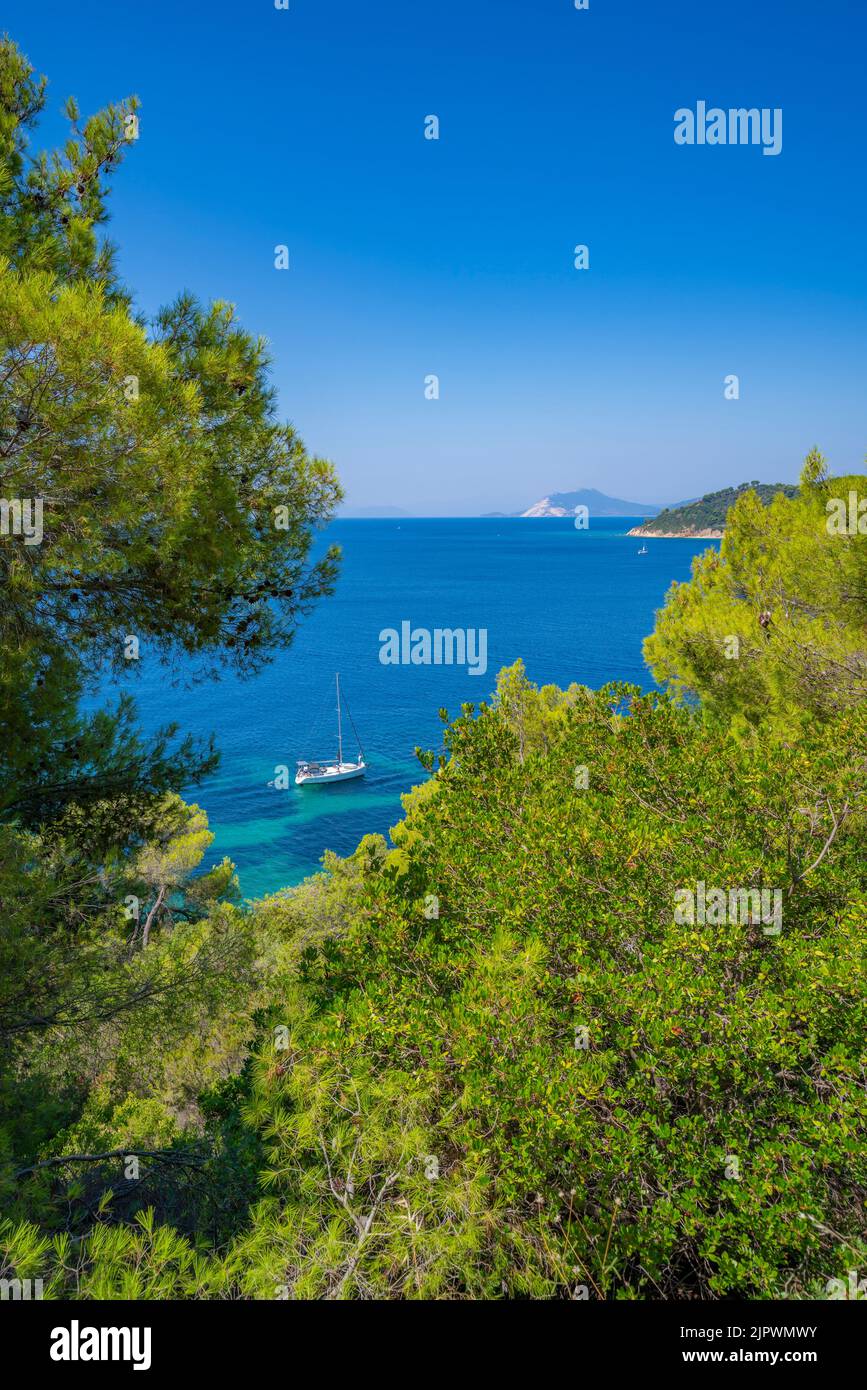 View of sailboat in the Aegean Sea and alpine coastline near Maratha Beach, Skiathos Island, Sporades Islands, Greek Islands, Greece, Europe Stock Photo