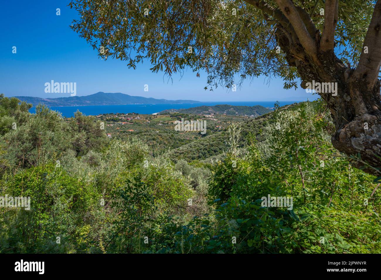 View of countryside and sea from Moni Evaggelistrias Monastry, Skiathos Island, Sporades Islands, Greek Islands, Greece, Europe Stock Photo