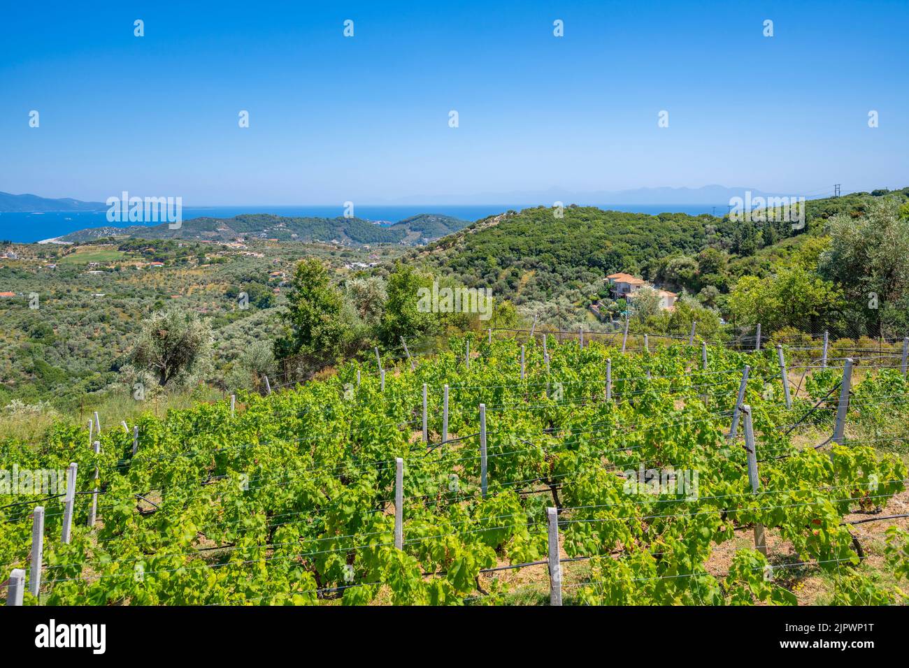 View of countryside and sea from Moni Evaggelistrias Monastery, Skiathos Island, Sporades Islands, Greek Islands, Greece, Europe Stock Photo