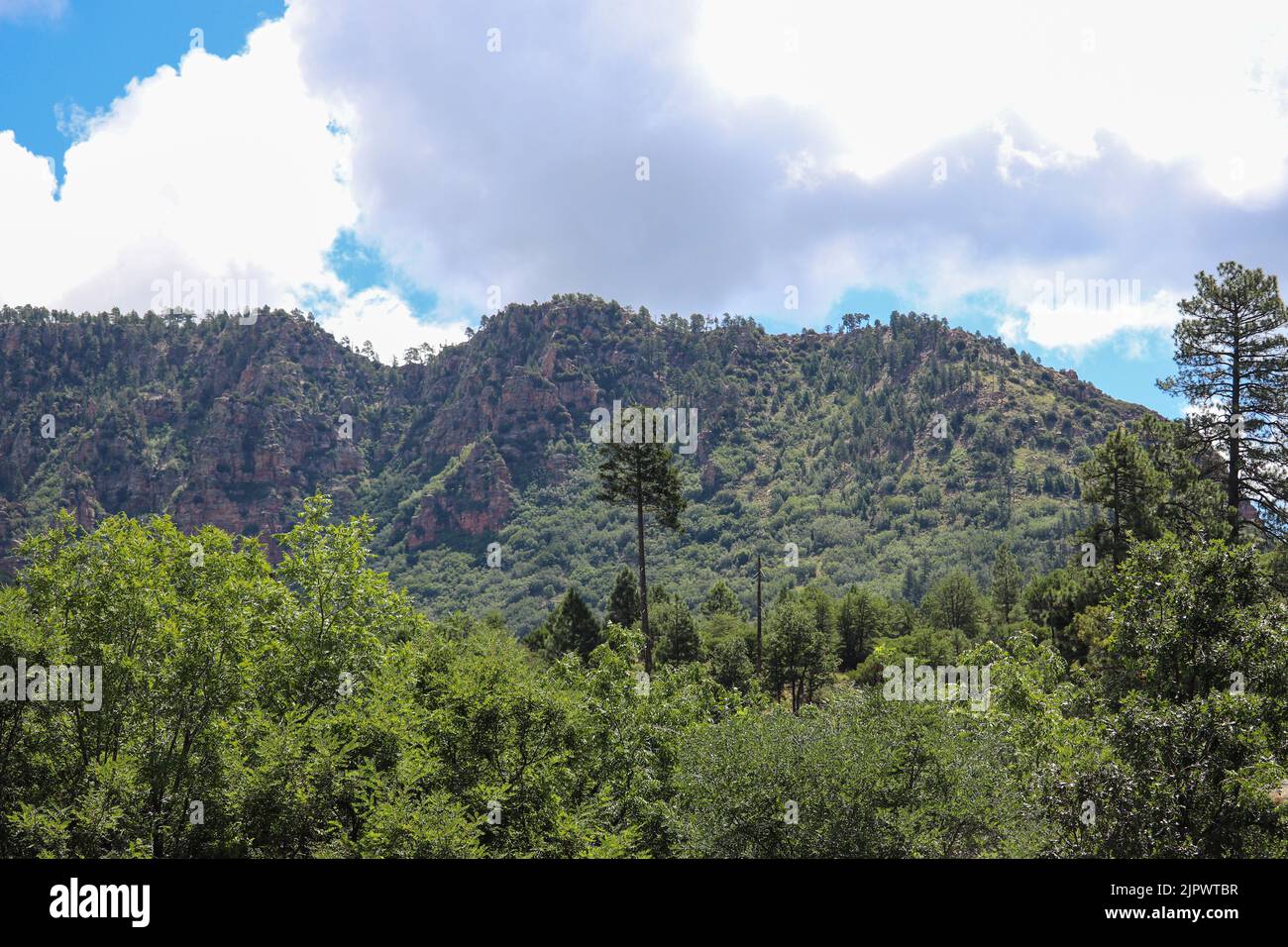 Tonto fish hatchery hires stock photography and images Alamy