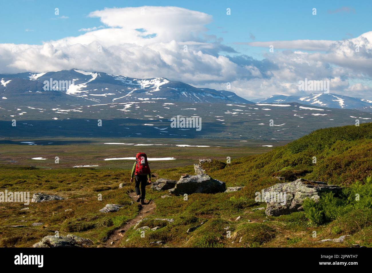 A hiker on the trail between the Swedish Blahammaren and Norwegian Nedalshytta mountain stations, Jamtland, Sweden Stock Photo