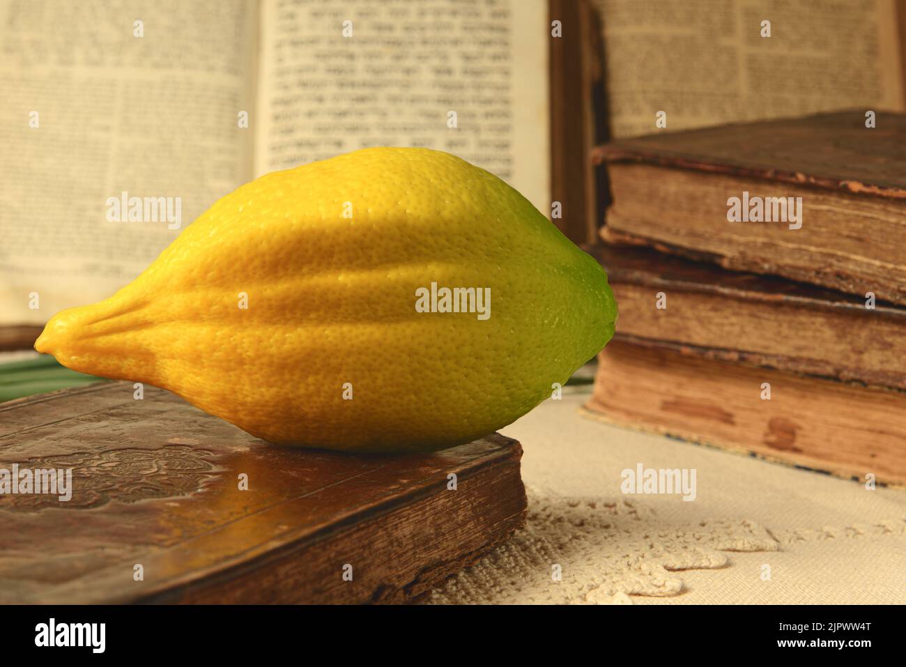 Festival of Sukkot. Book of Leviticus and etrog, symbol of Torah-commanded holiday. Closeup Stock Photo