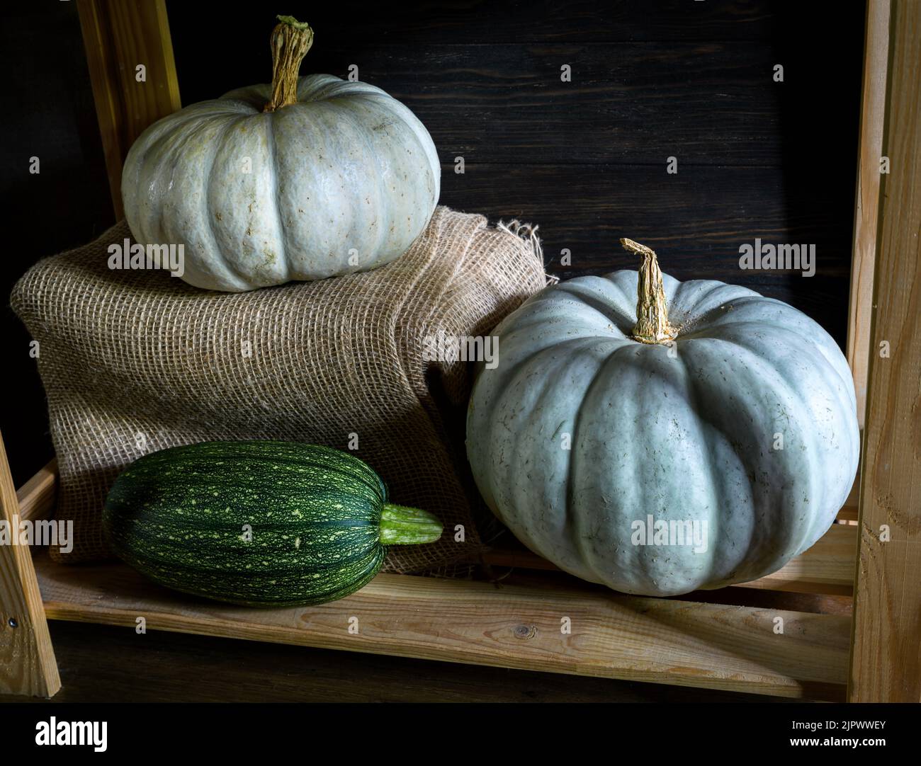 Vegetable marrow and pumpkins on kitchen wood shelves. Vintage still life of food. Photography of zucchini and white pumpkins in rustic interior. Conc Stock Photo