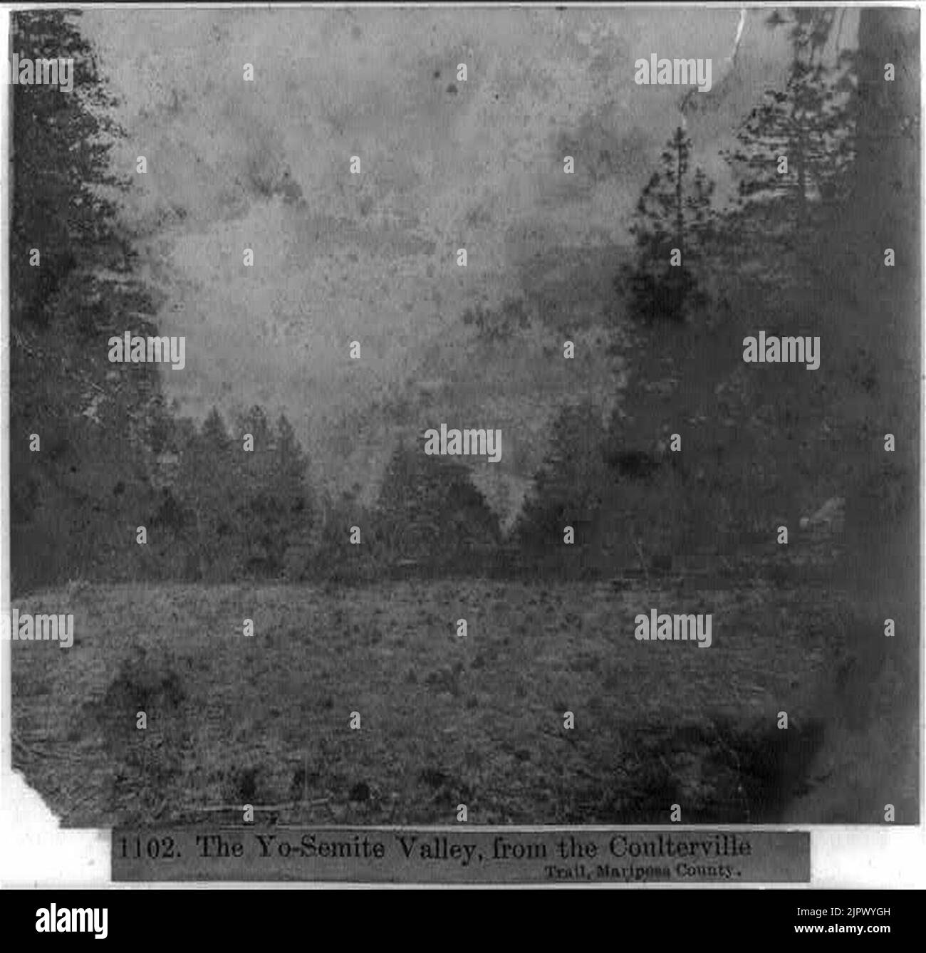 The Yosemite Valley, from the Coulterville Trail, Mariposa County Stock