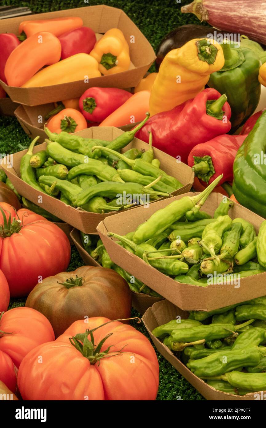 brightly coloured peppers and chillis with tomatos on sale at a greengrocers stall on a fruit and vegetable market on the isle of wight uk, hot chilli Stock Photo