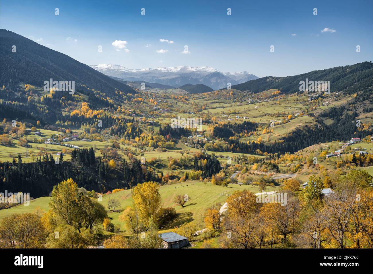 Autumn landscape in Savsat district of Artvin, Turkey. Stock Photo