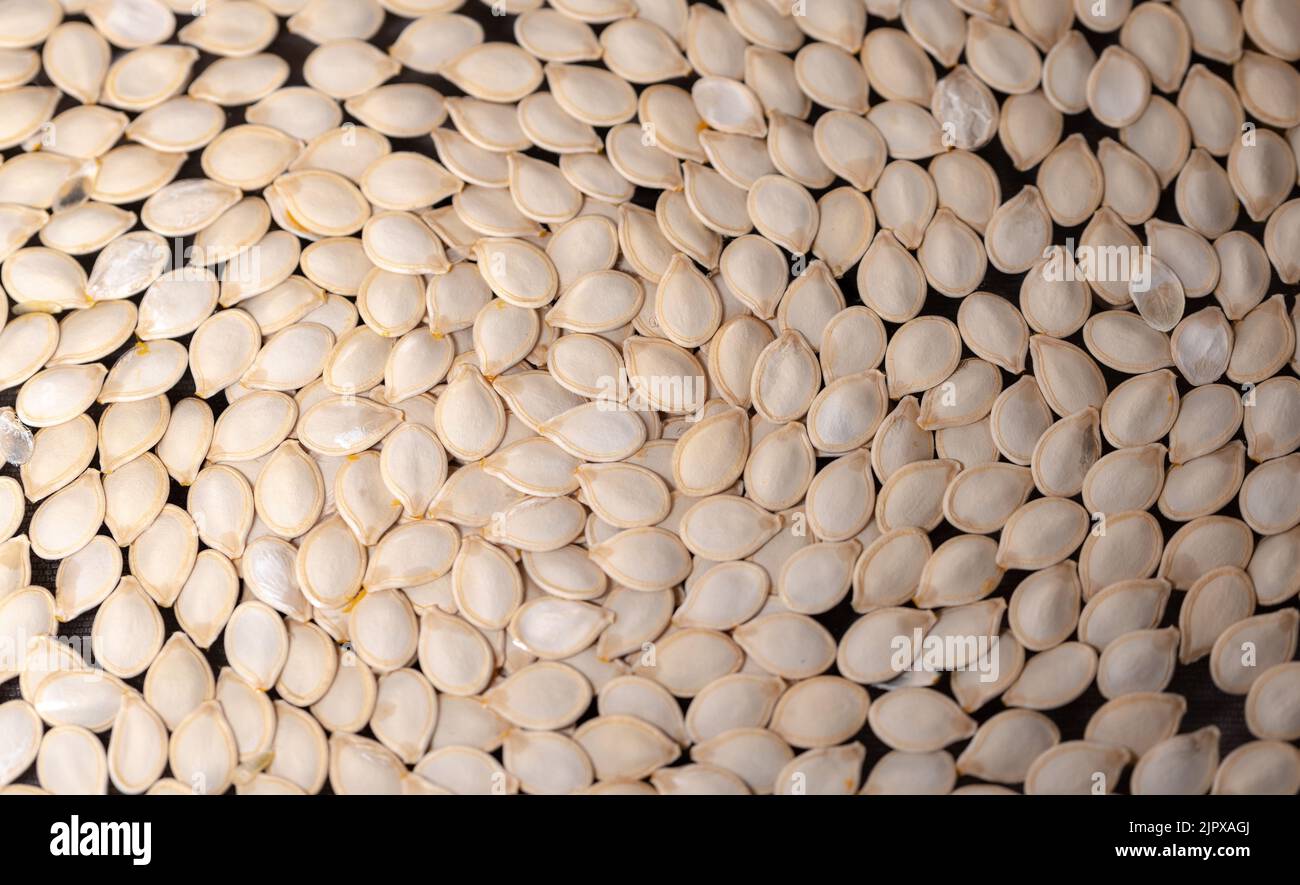 Pumpkin seeds creating a natural, spiral structure. Pure pumpkin seeds