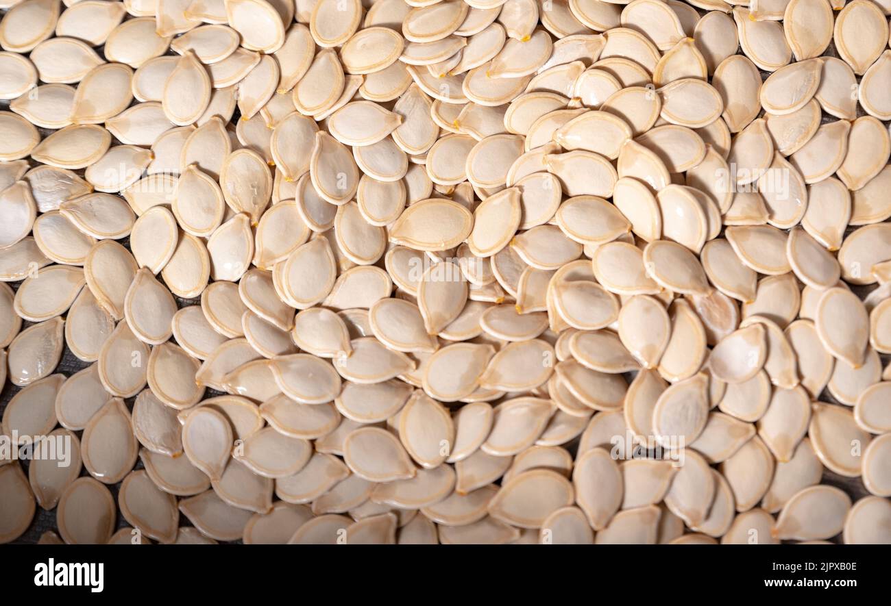 Pumpkin seeds creating a natural, spiral structure. Pure pumpkin seeds