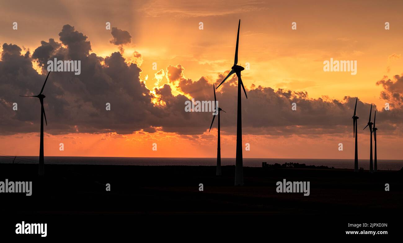 Wind turbines in front of the sea at sunrise; Isola di Capo Rizzuto, Crotone, Calabria, Italy Stock Photo