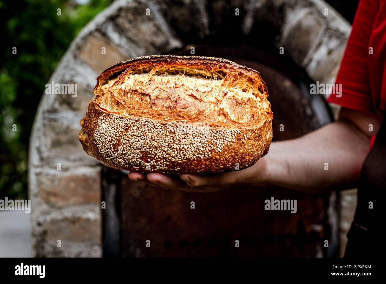 Homemade bread from kamut flour with sourdough Stock Photo Alamy
