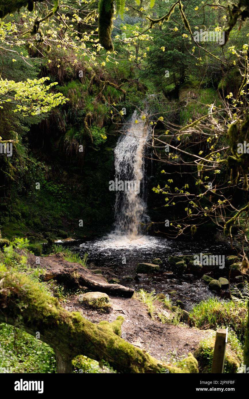 A vertical shot of a waterfall in the woods Stock Photo - Alamy