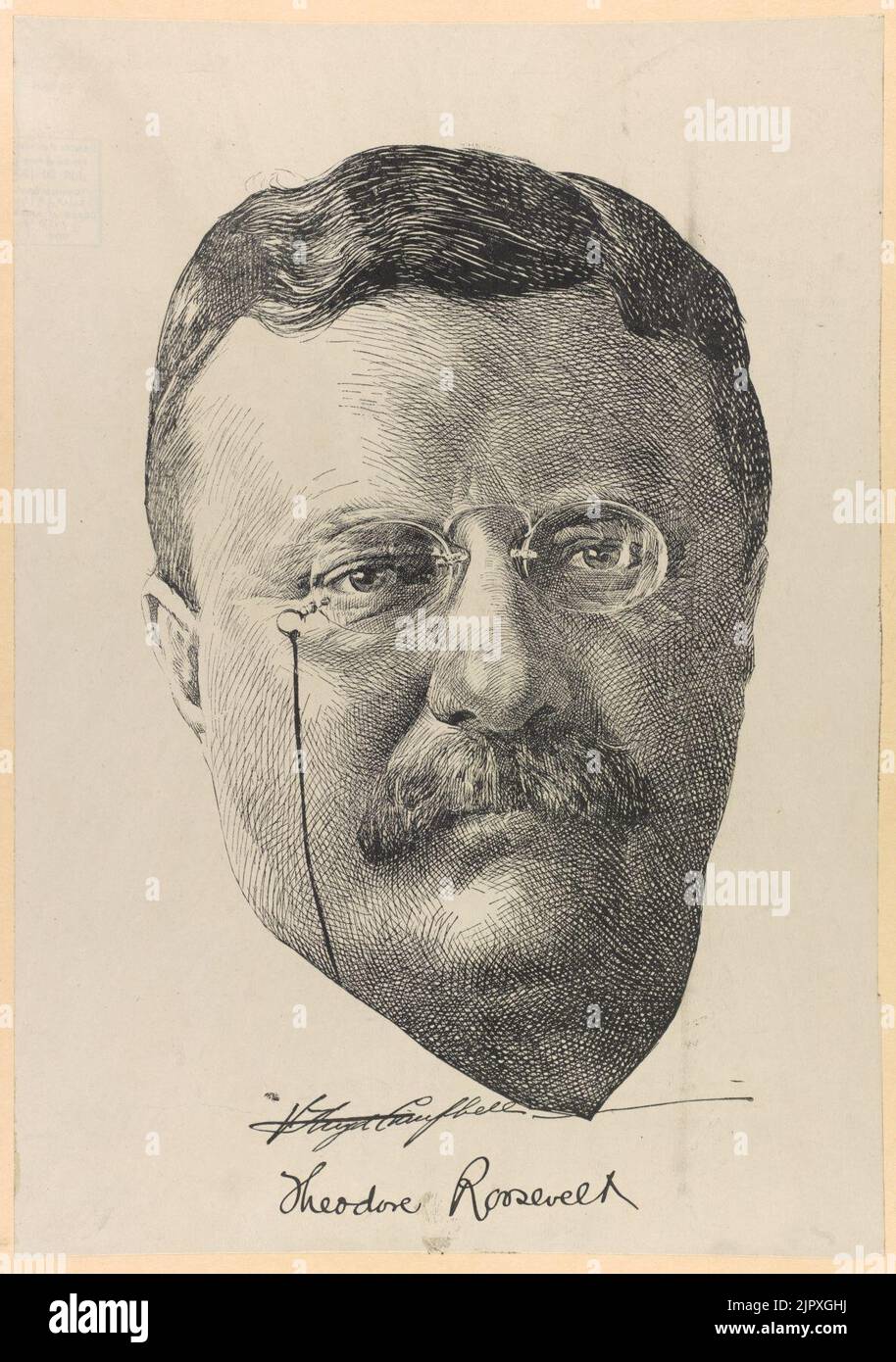 Theodore Roosevelt, portrait of head, full face view Stock Photo