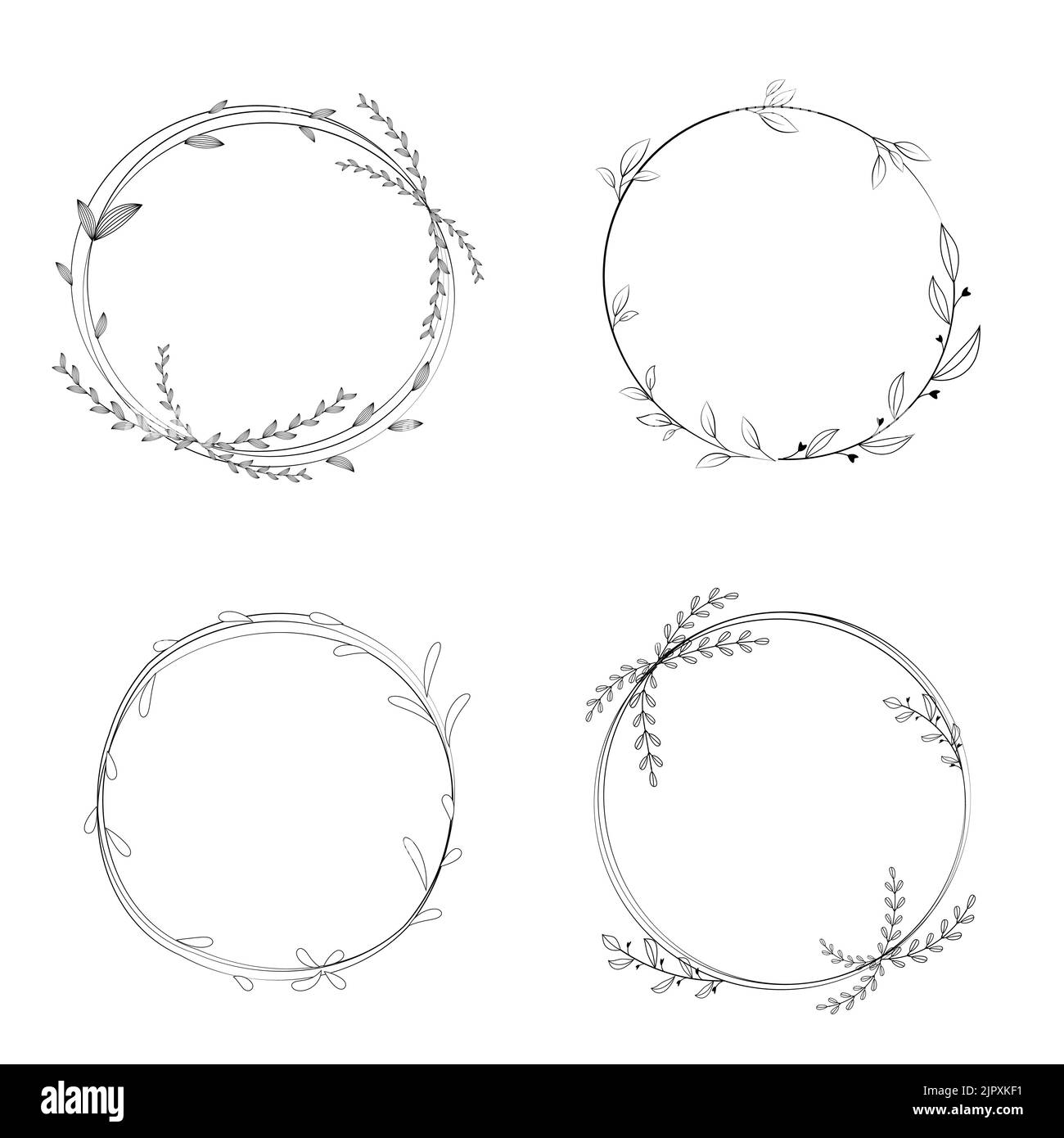 botanical frame set vector floral style Stock Vector Image & Art - Alamy