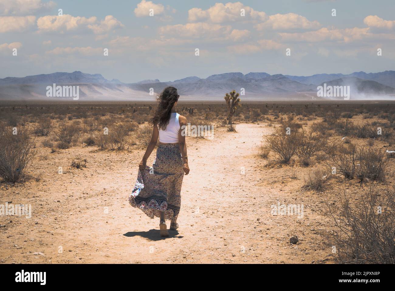 Brunette woman in skirt hi-res stock photography and images - Alamy