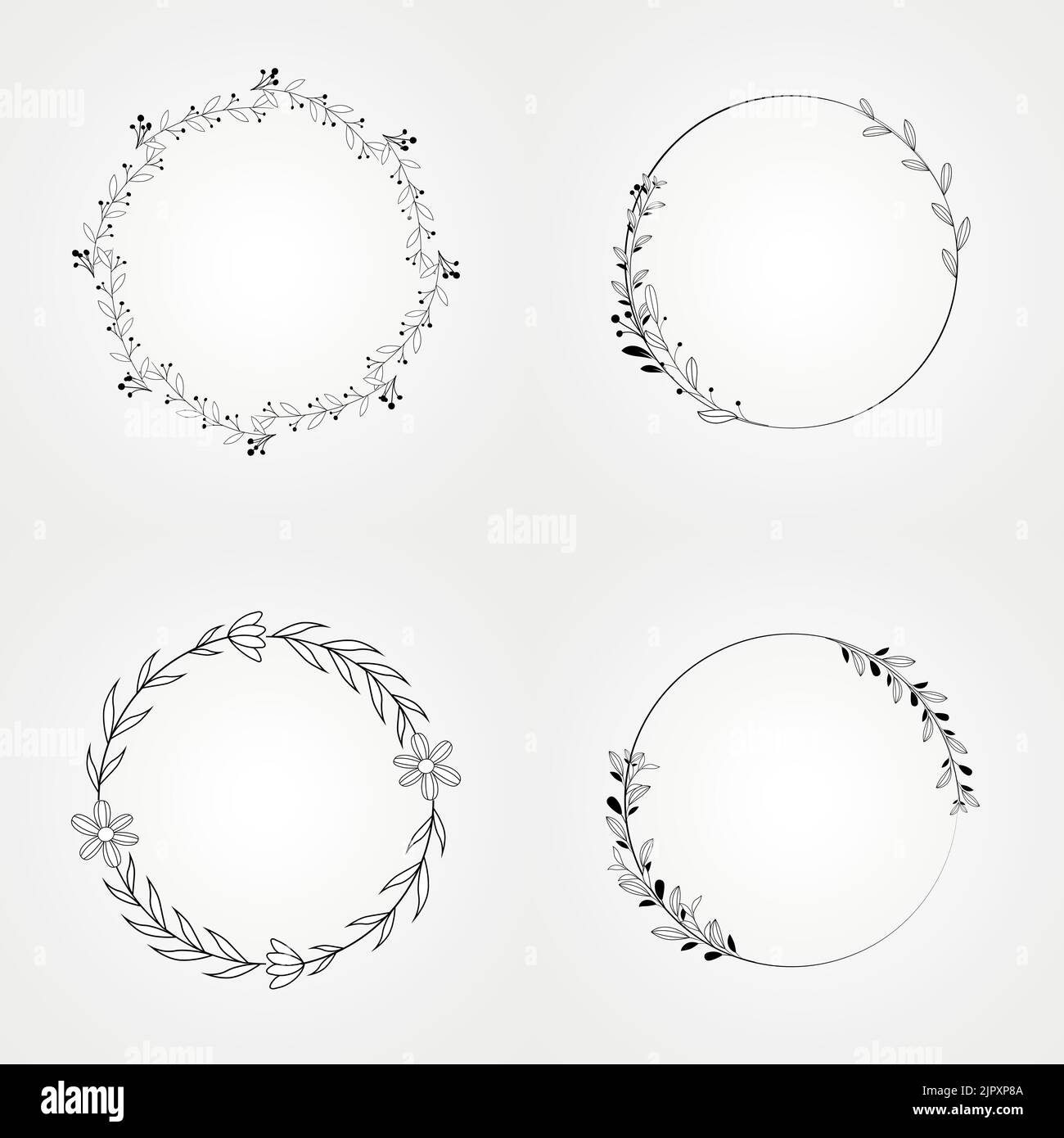 set floral frame botanical design Stock Vector Image & Art - Alamy