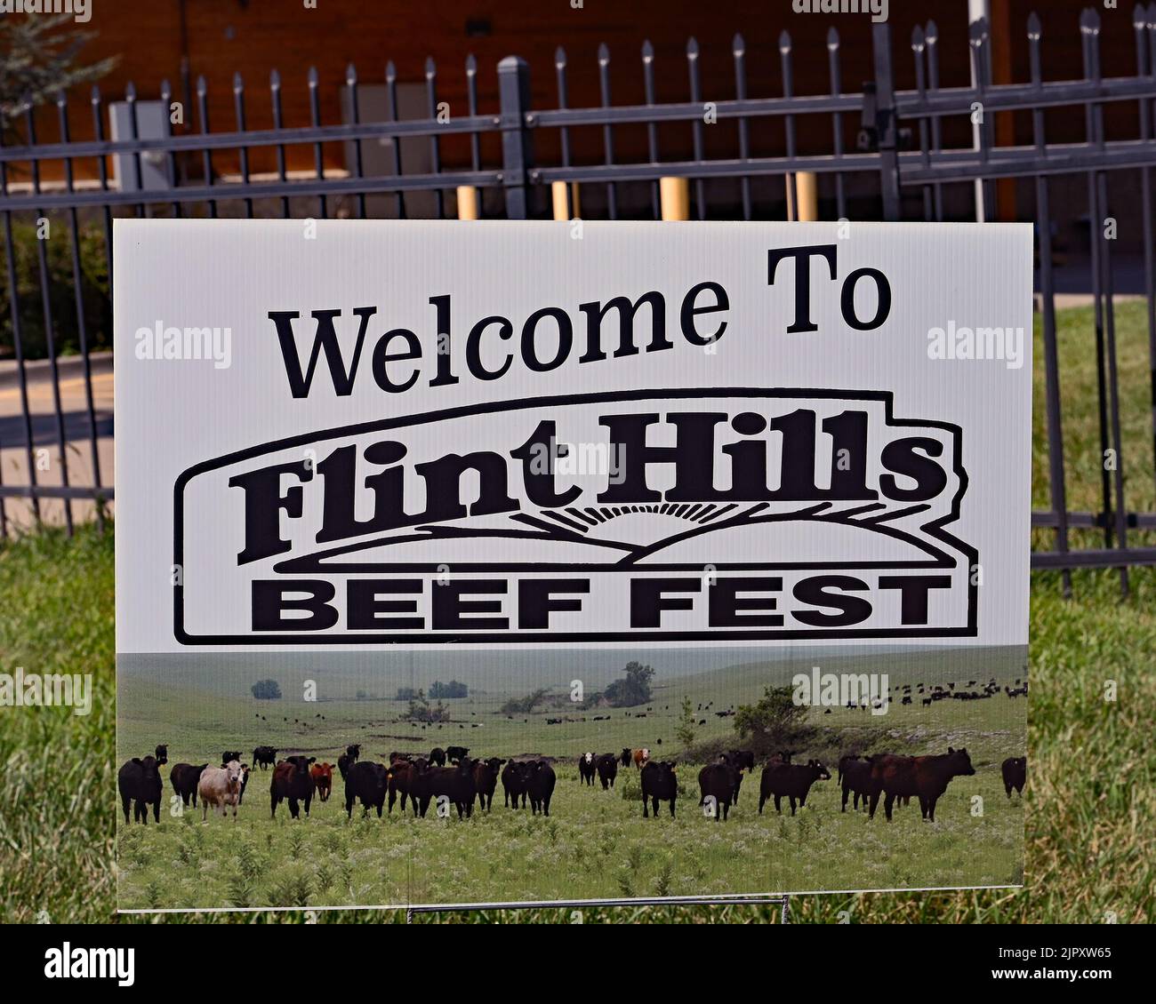 Cattle feed bag hires stock photography and images Alamy