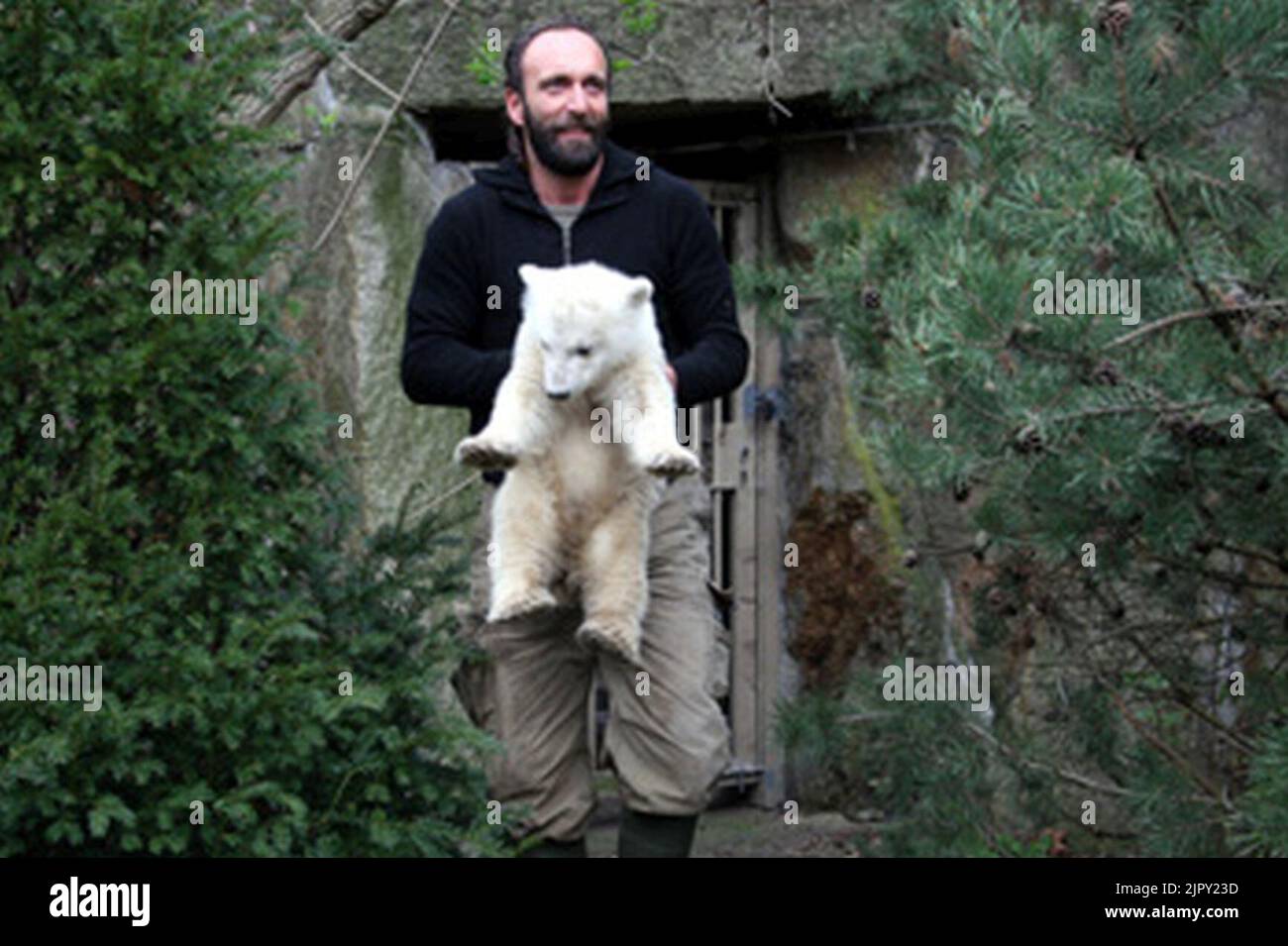 Thomas Dörflein + Knut (polar bear) Berlin Zoo Germany Stock Photo - Alamy