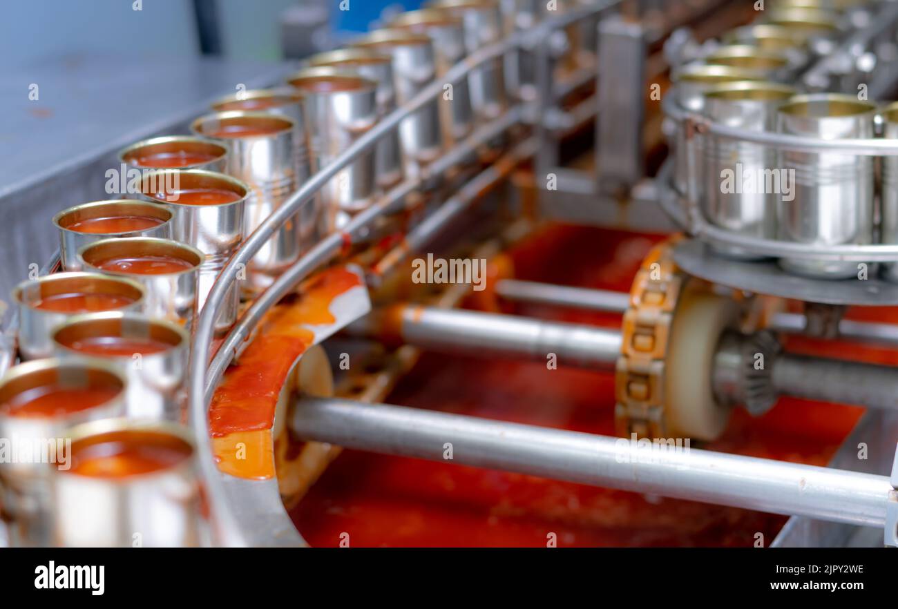 Canned fish factory. Food industry. Sardines in red tomato sauce in