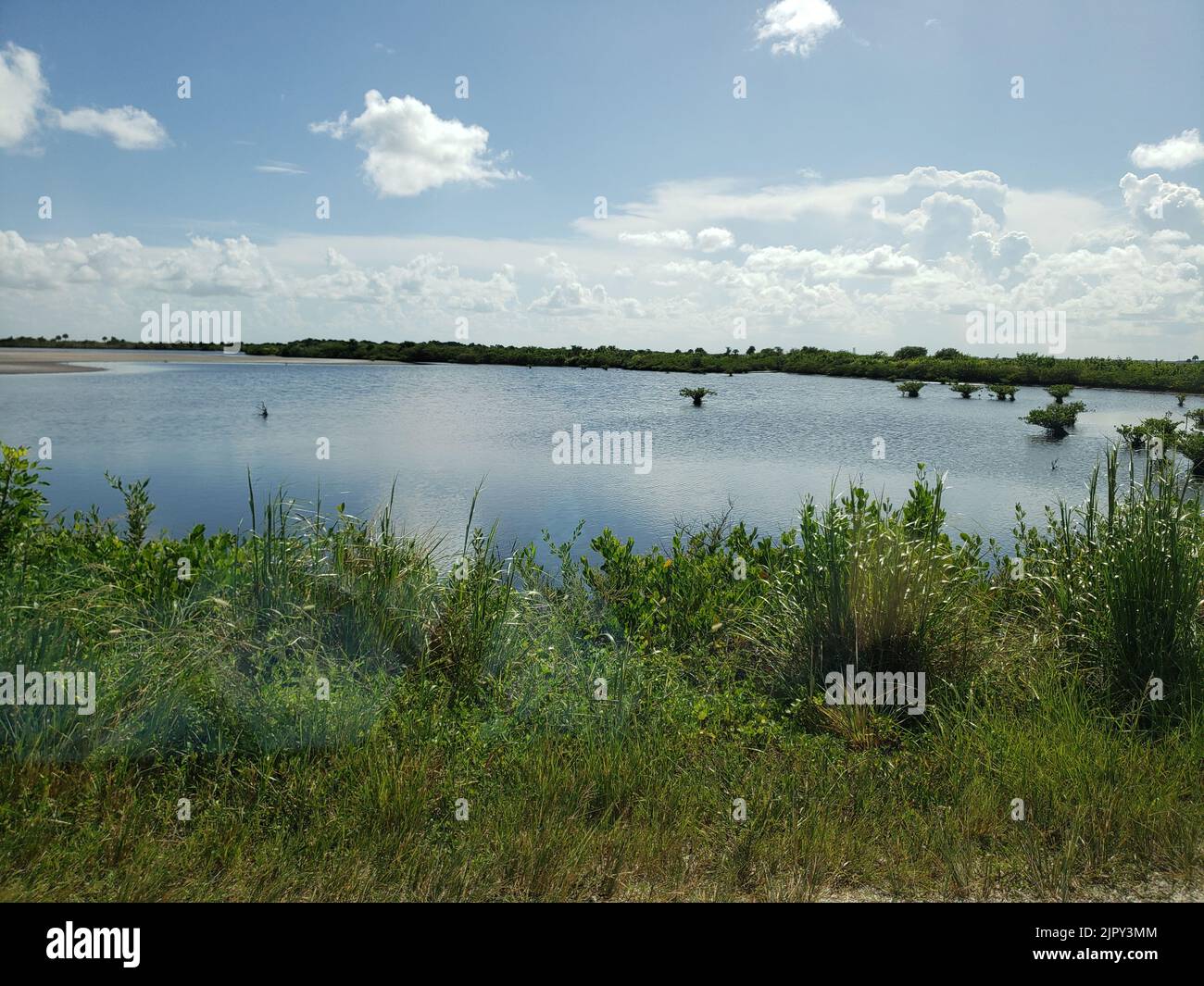 Black Point Wildlife Drive, Merritt Island National Wildlife Refuge ...