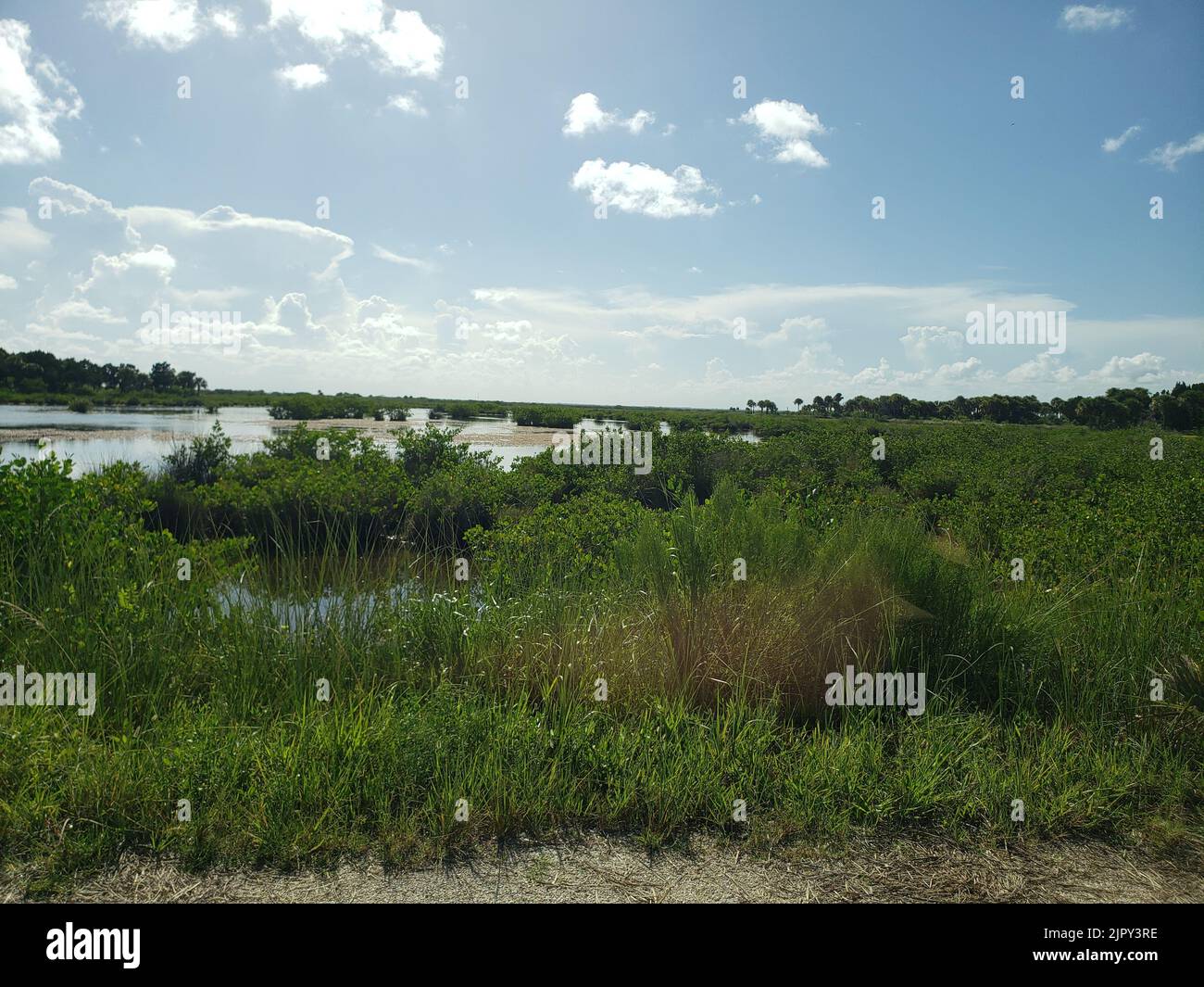 Black Point Wildlife Drive, Merritt Island National Wildlife Refuge ...