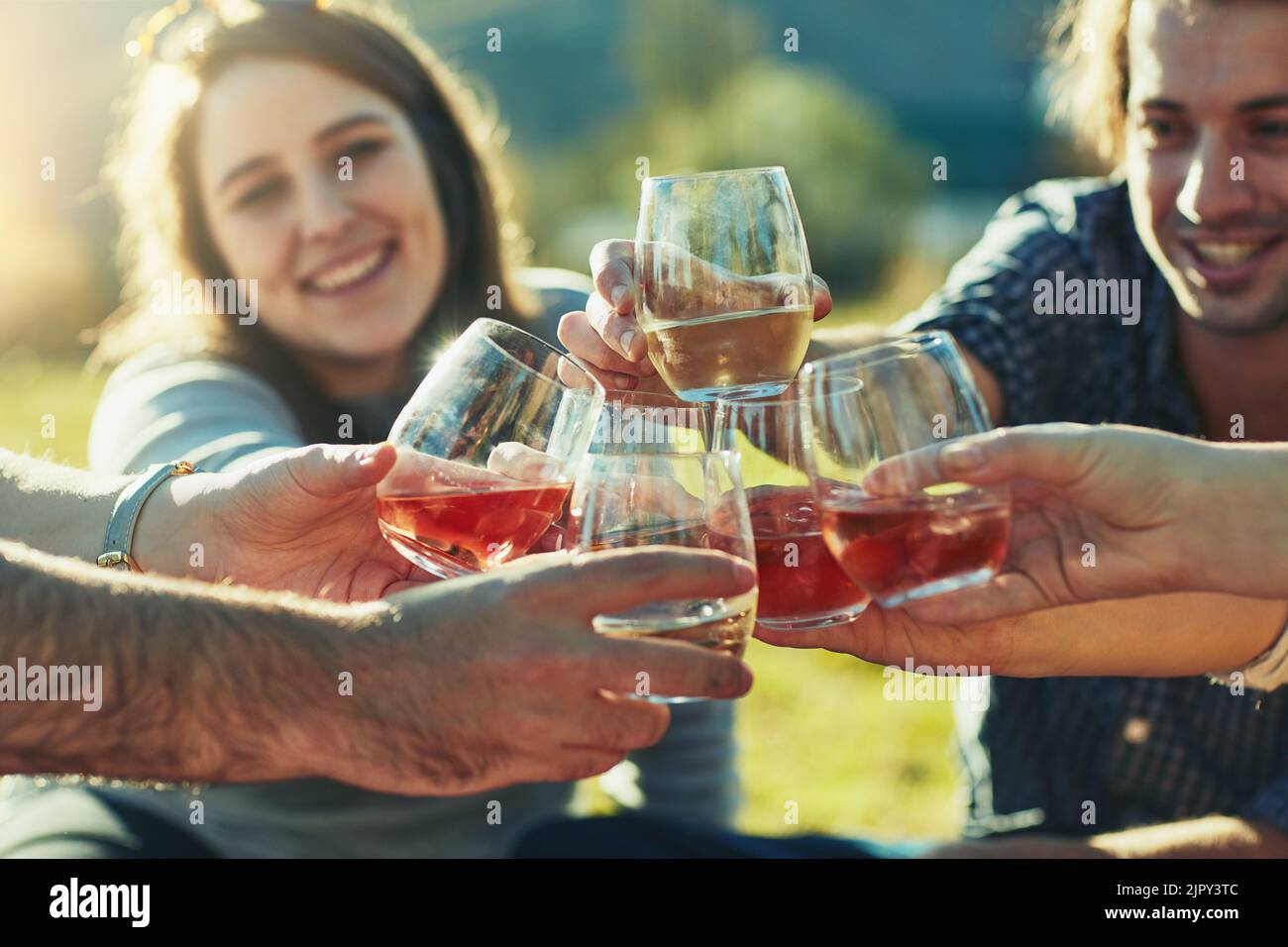 Let the good times roll. a group of friends toasting with their drinks