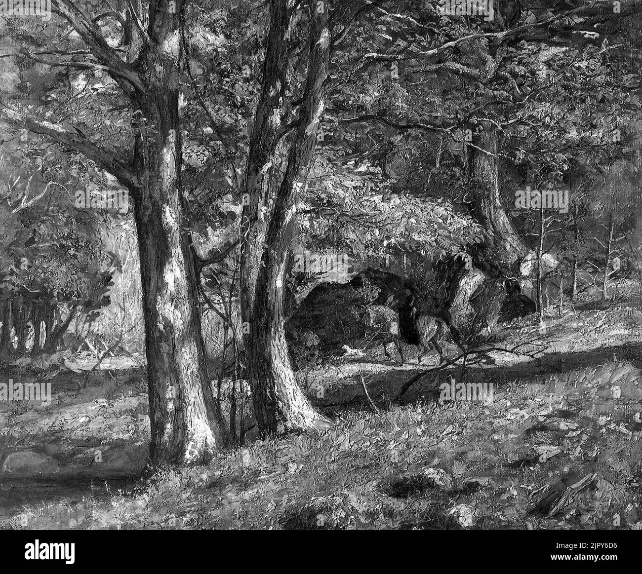 Thomas R. Robinson - Woods and Equestrienne Stock Photo - Alamy
