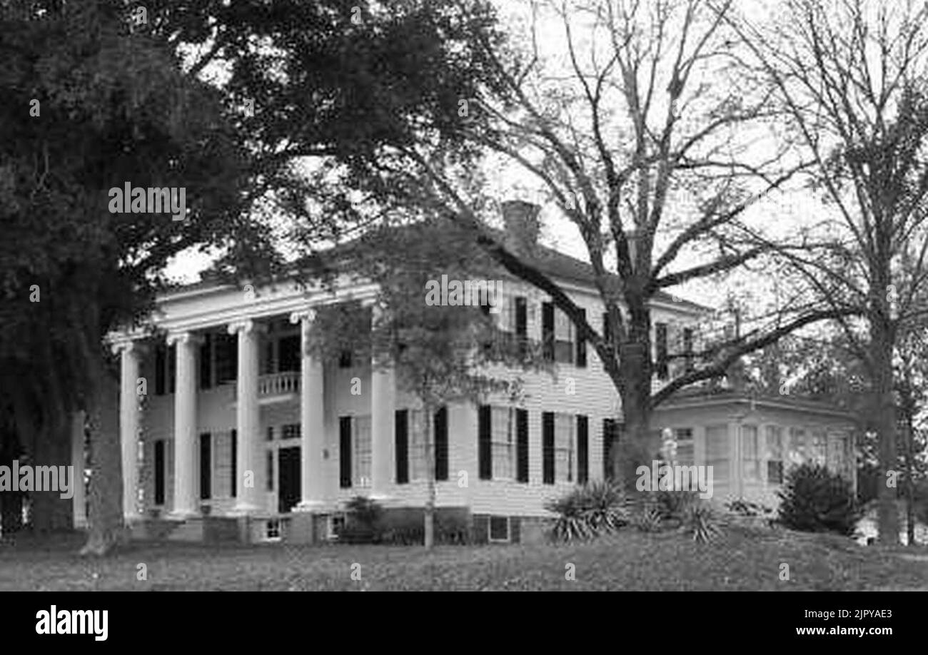 Thornhill Plantation 01 Stock Photo Alamy