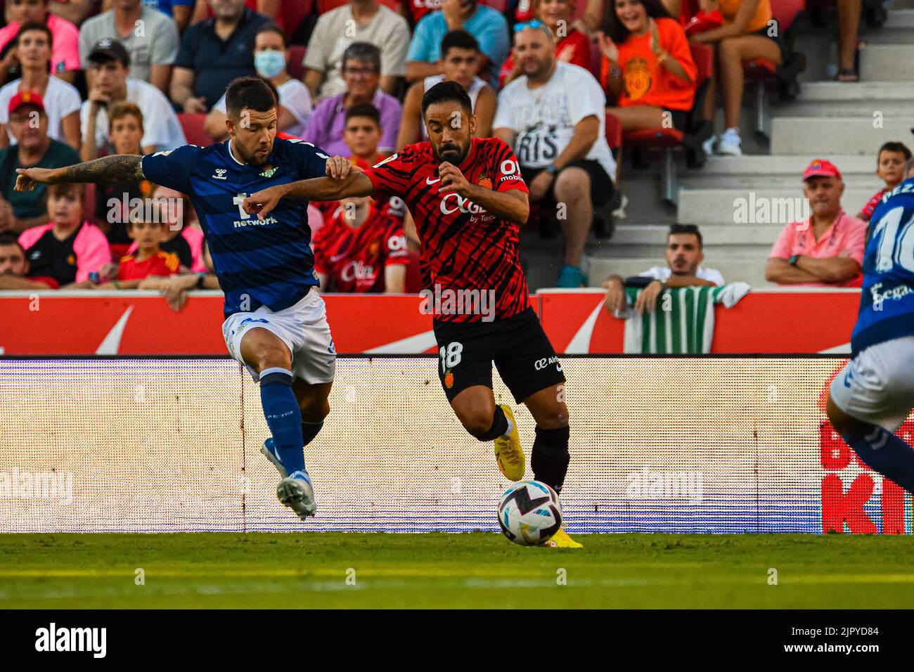MALLORCA, SPAIN - AUGUST 20: Jaume Acosta of RCD Mallorca during in the match between RCD Mallorca and Real Betis of La Liga Santander on August 20, 2022 at Visit Mallorca Stadium Son Moix in Mallorca, Spain. (Photo by Samuel Carreño/PxImages) Stock Photo