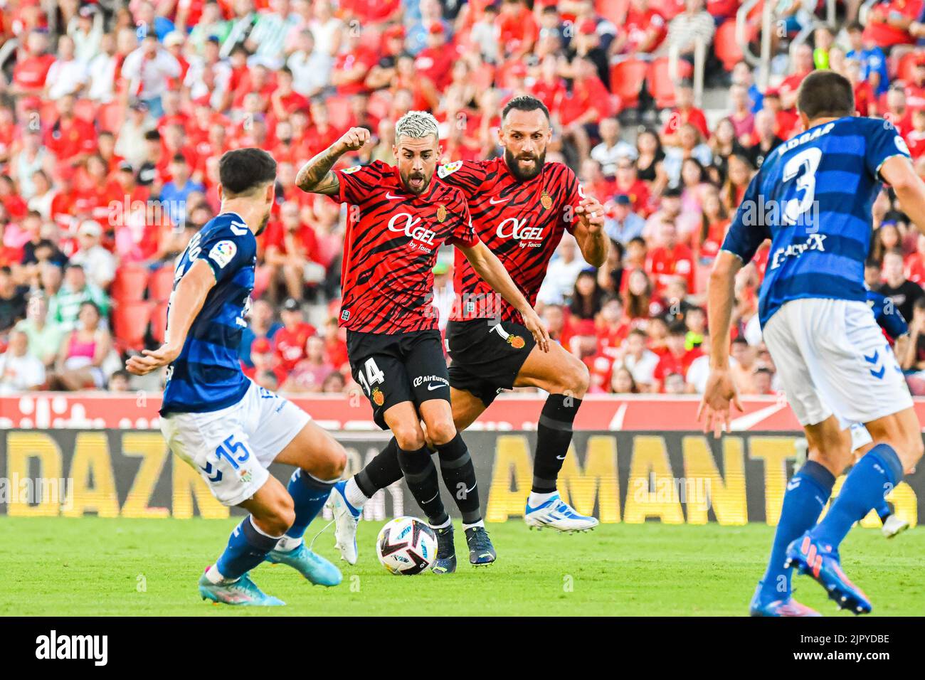 MALLORCA, SPAIN - AUGUST 20: Dani Rodriguez  of RCD Mallorca in the match between RCD Mallorca and Real Betis of La Liga Santander on August 20, 2022 at Visit Mallorca Stadium Son Moix in Mallorca, Spain. (Photo by Samuel Carreño/PxImages) Stock Photo