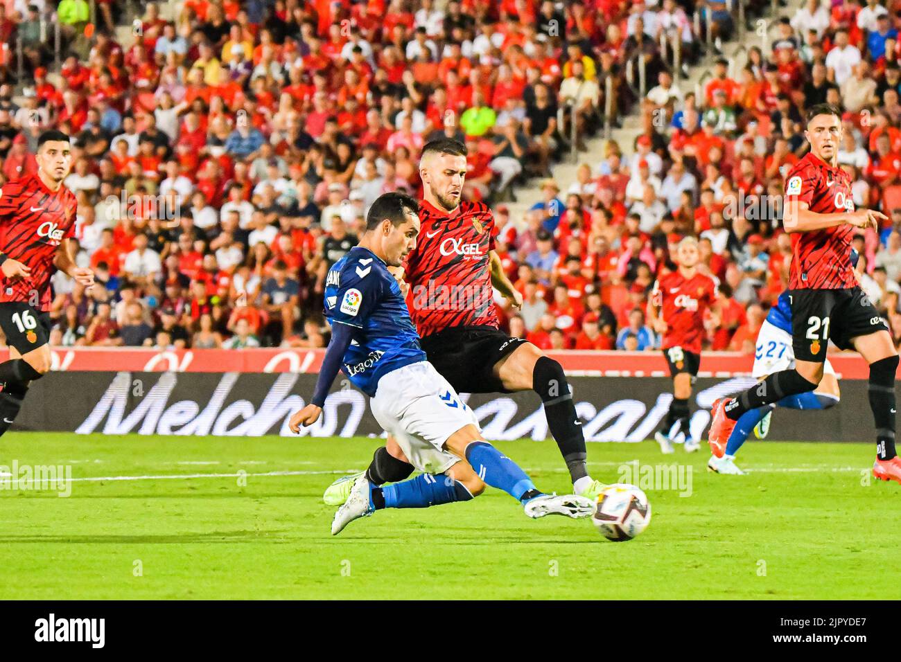 MALLORCA, SPAIN - AUGUST 20: Juanmi of Real Betis in the match between RCD Mallorca and Real Betis of La Liga Santander on August 20, 2022 at Visit Mallorca Stadium Son Moix in Mallorca, Spain. (Photo by Samuel Carreño/PxImages) Stock Photo