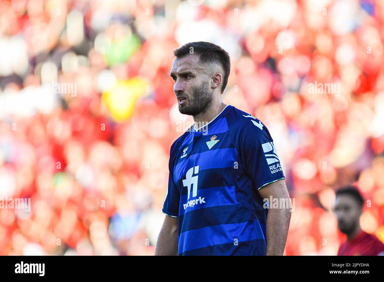 MALLORCA, SPAIN - AUGUST 20: German Pezzella of Real Betis in the match between RCD Mallorca and Real Betis of La Liga Santander on August 20, 2022 at Visit Mallorca Stadium Son Moix in Mallorca, Spain. (Photo by Samuel Carreño/PxImages) Stock Photo