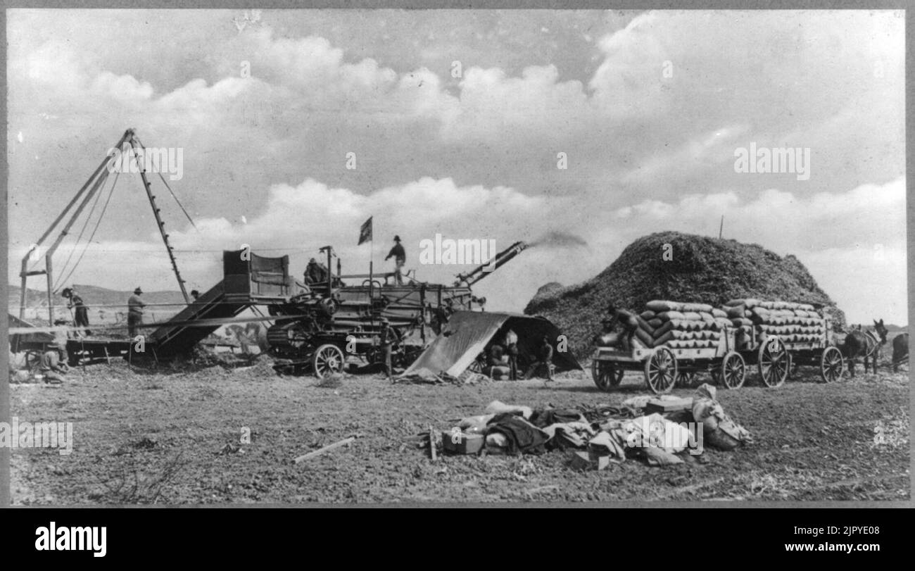 Threshing machine in operation, Ventura, California Stock Photo - Alamy