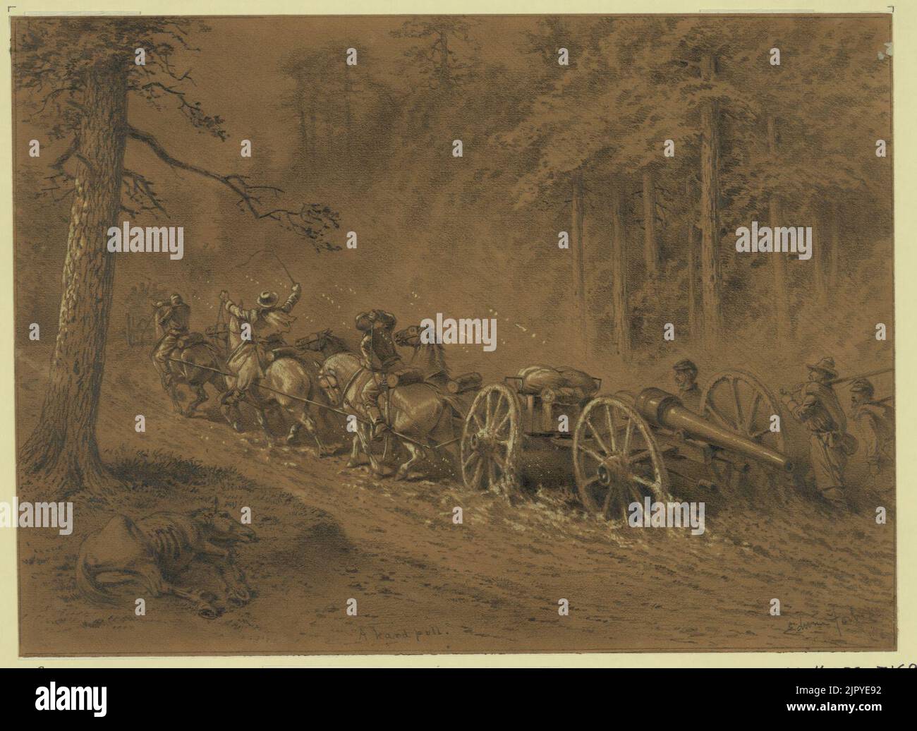 Through the wilderness Stock Photo Alamy