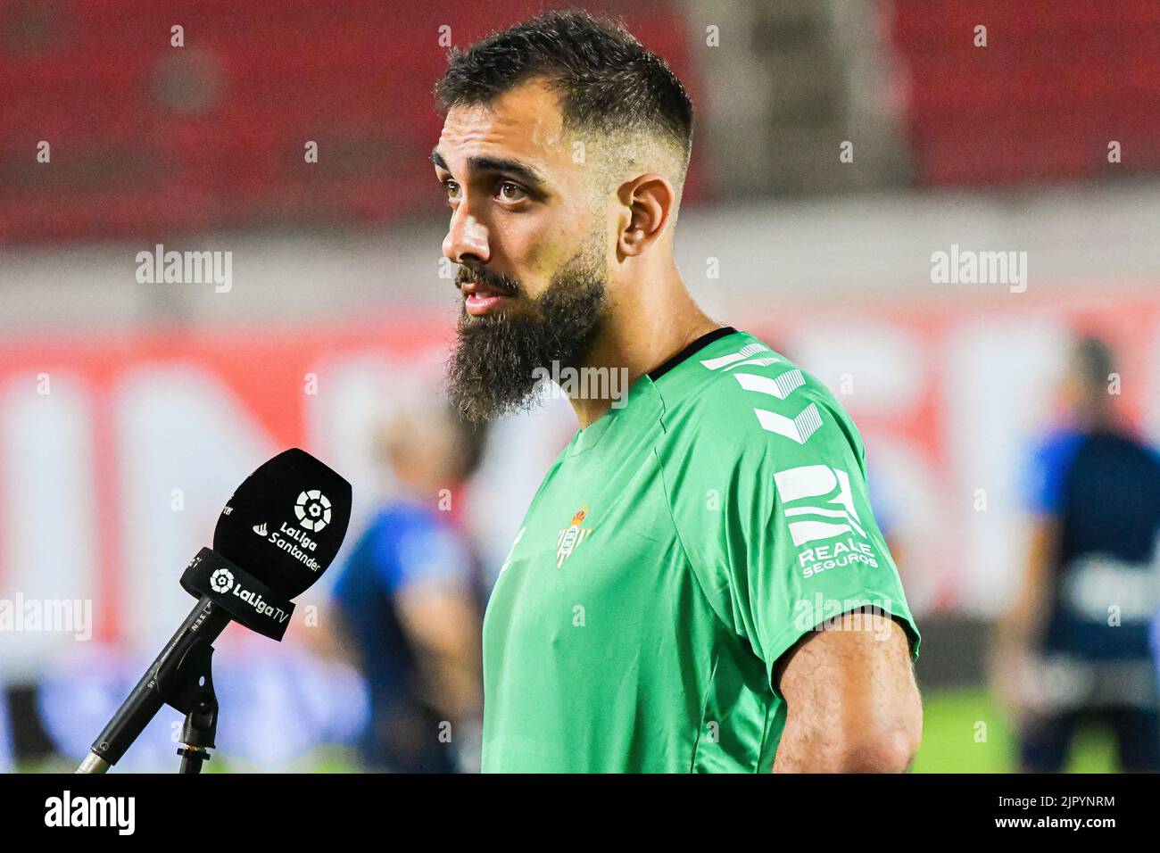 Mallorca, Mallorca, Spain. 20th Aug, 2022. MALLORCA, SPAIN - AUGUST 20: Borja Iglesias of Real Betis in the match between RCD Mallorca and Real Betis of La Liga Santander on August 20, 2022 at Visit Mallorca Stadium Son Moix in Mallorca, Spain. (Credit Image: © Samuel CarreÃ±O/PX Imagens via ZUMA Press Wire) Stock Photo