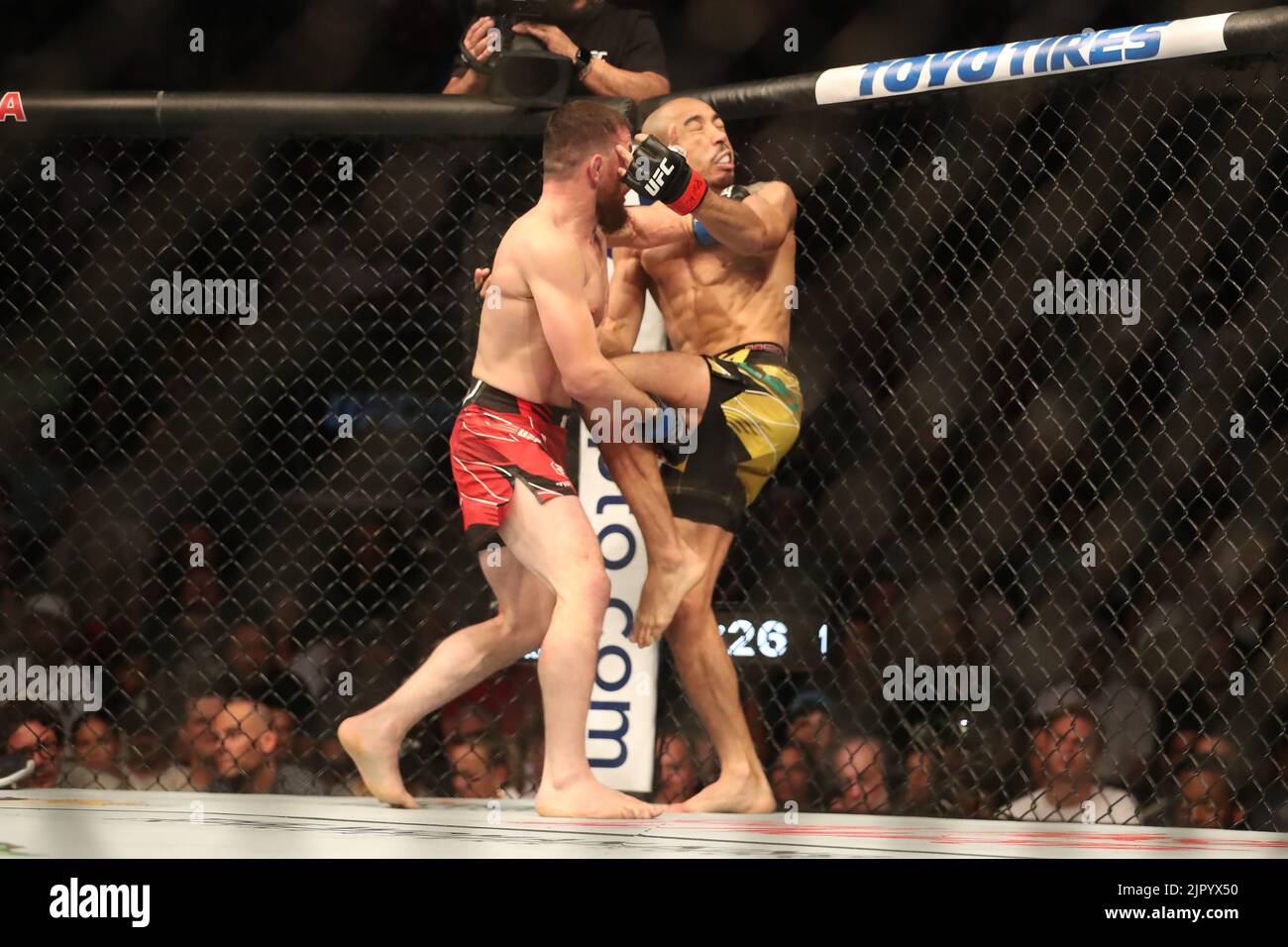 Salt Lake City, United States. 20th Aug, 2022. SALT LAKE CITY, UT - AUGUST 20: (L-R) Merab Dvalishvili punches Jose Aldo in their Bantamweight bout during the UFC 278 at the Vivint Arena on August 20, 2022 in Salt Lake City, Utah, United States. (Photo by Alejandro Salazar/PxImages) Credit: Px Images/Alamy Live News Stock Photo