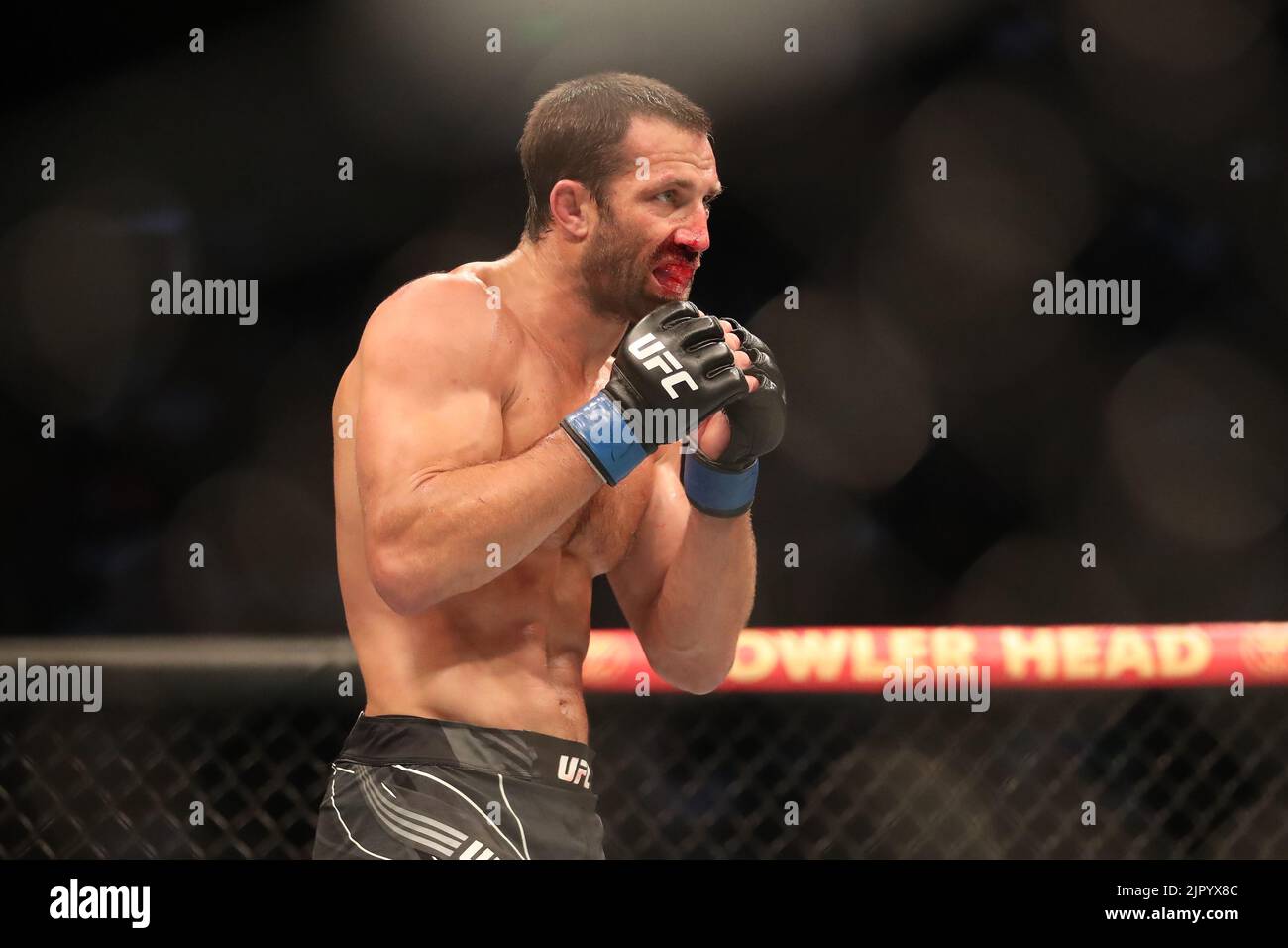 Salt Lake City, United States. 20th Aug, 2022. SALT LAKE CITY, UT - AUGUST 20: Luke Rockhold battles Paulo Costa in their Middleweight bout during the UFC 278 at the Vivint Arena on August 20, 2022 in Salt Lake City, Utah, United States. (Photo by Alejandro Salazar/PxImages) Credit: Px Images/Alamy Live News Stock Photo