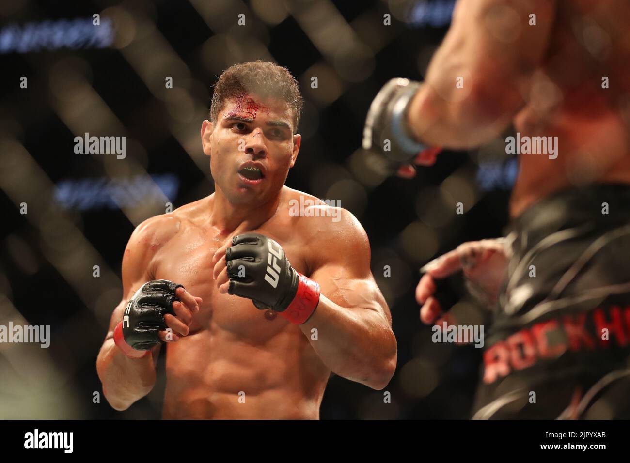 Salt Lake City, United States. 20th Aug, 2022. SALT LAKE CITY, UT - AUGUST 20: (L-R) Paulo Costa battles Luke Rockhold in their Middleweight bout during the UFC 278 at the Vivint Arena on August 20, 2022 in Salt Lake City, Utah, United States. (Photo by Alejandro Salazar/PxImages) Credit: Px Images/Alamy Live News Stock Photo