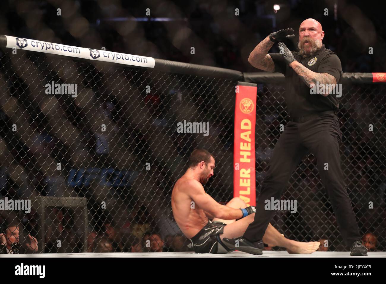 Salt Lake City, United States. 20th Aug, 2022. SALT LAKE CITY, UT - AUGUST 20: Referee Mike Beltran during the Paulo Costa and Luke Rockhold bout at the UFC 278 at the Vivint Arena on August 20, 2022 in Salt Lake City, Utah, United States. (Photo by Alejandro Salazar/PxImages) Credit: Px Images/Alamy Live News Stock Photo