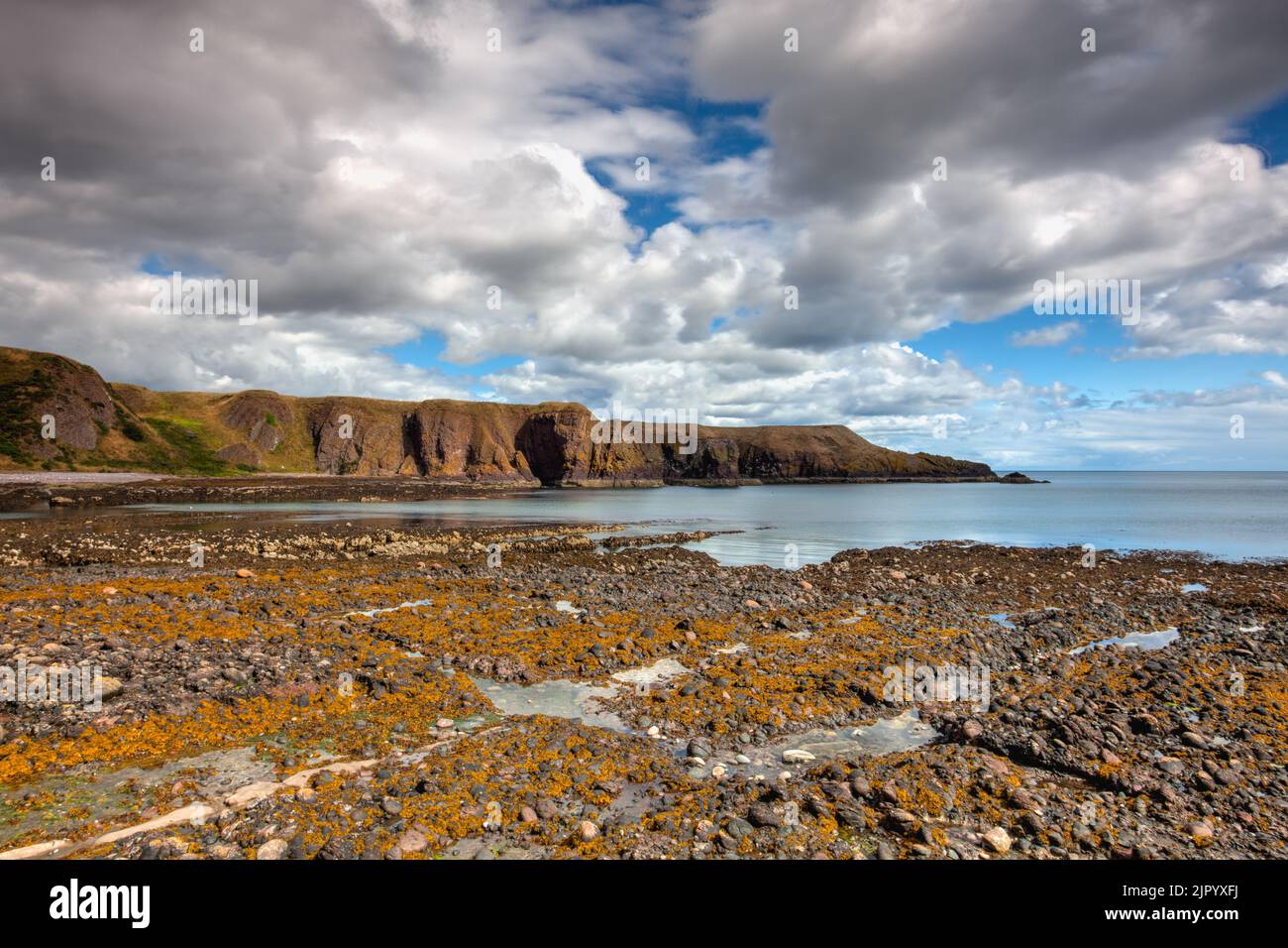 On the dramatic coast nex to  Dunnottar Castle. It is a ruined medieval fortress located upon a rocky headland on the north-eastern coast of Scotland, Stock Photo
