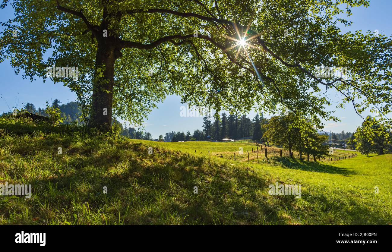 Beautiful view of rural park in countryside in British Columbia