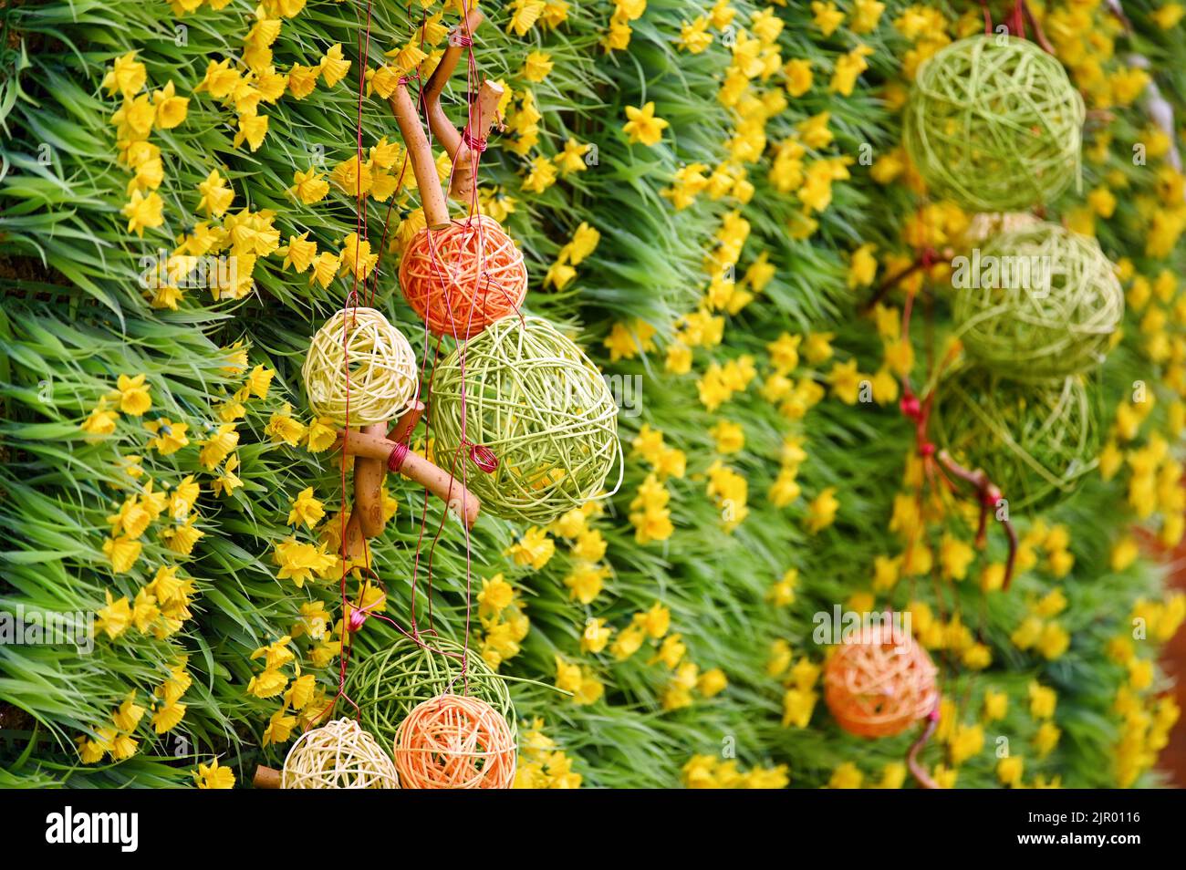 Spring nature background with flowers and grass Stock Photo - Alamy