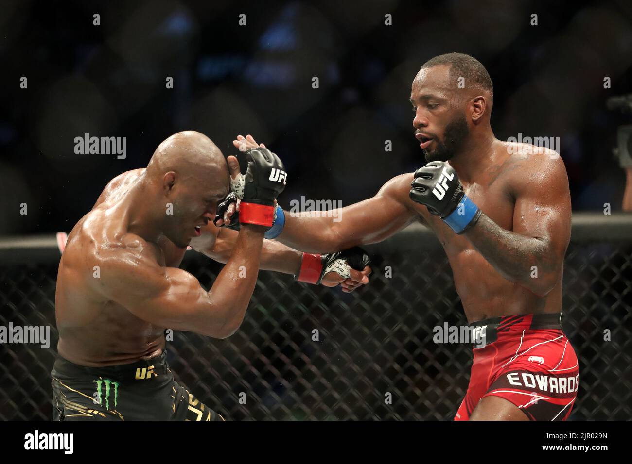 Усман боец юфс. Бой усмана и. Усман эдвардс 3. Усман эдвардс. Колби ковингтон камару усман.