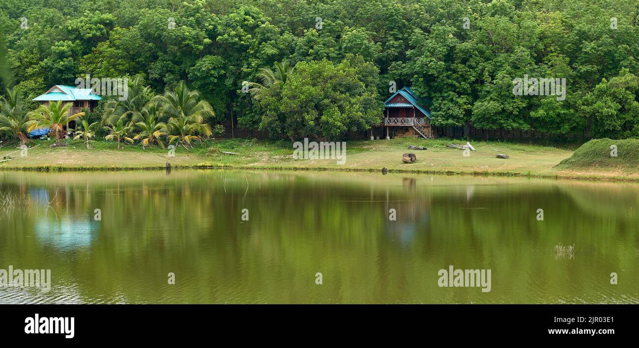 A dreamy landscape, a small house in tropical lush green woods, by a ...