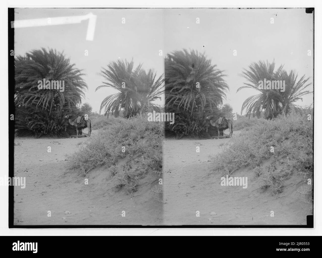 Elim sinai hires stock photography and images Alamy